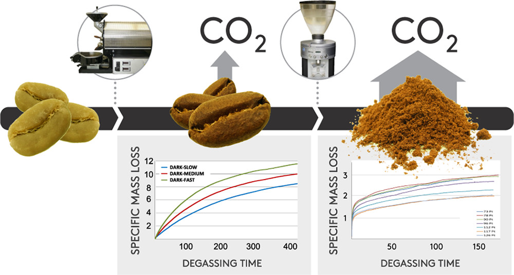 Time-Resolved Gravimetric Method To Assess Degassing of Roasted Coffee